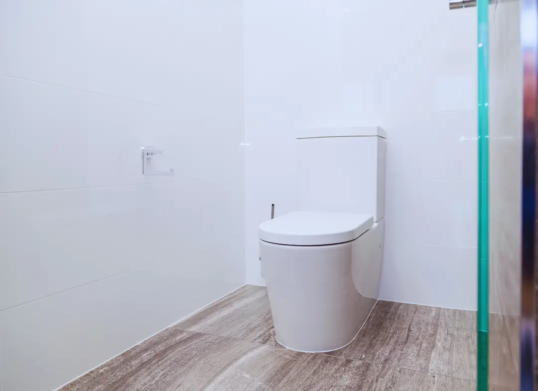 Remplacement de wc Cognin