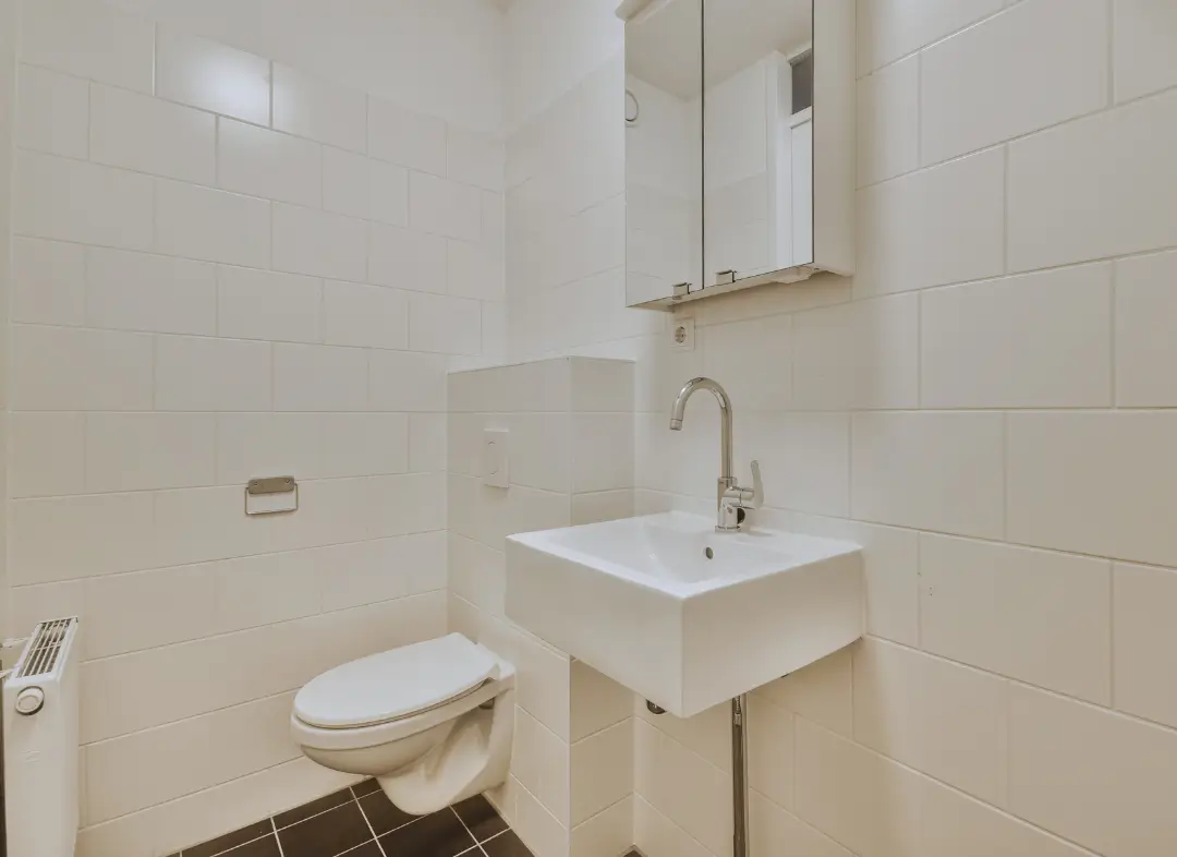 Pose WC Suspendu Cognin